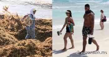 Sargazo en Cancún 2022: ¿Qué playas estarán libres del alga en Semana Santa? - Expansión