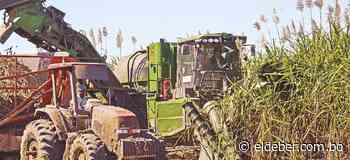 Gobierno afirma que este año 400.000 quintales de azúcar estarán libres para la exportación - EL DEBER