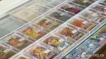 Pokémon card craze has settled into a slow simmer, Ottawa vendors say - Ottawa Business Journal