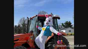 To Do List: Easter Egg Hunt, Real Pirates Salem Exhibit, Marathon Daffodil Dash - CBS Boston
