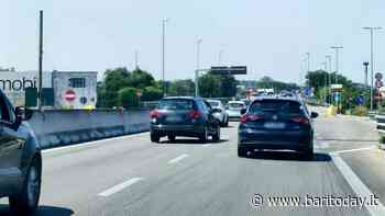 Incidente sulla statale 16 a Bari: maxi-tamponamento tra nove auto. Due feriti e traffico in tilt - BariToday