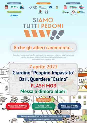 'Alberi che camminano', a Bari flash mob per verde e anziani - Agenzia ANSA