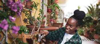 For National Gardening Day: 7 Tips For The Beginner Gardener - Yahoo Life