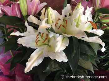 GARDENER'S CHECKLIST: Week of April 14, 2022 - theberkshireedge.com