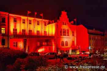 Reichenbach: Gremium will Lösung für Neuberinhaus erarbeiten - freiepresse.de