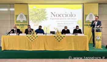 Nocciole, Coldiretti Cuneo: "Futuro fa rima con filiera" - TargatoCn.it