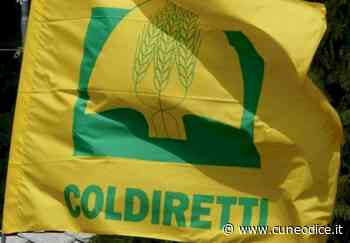 Turismo, Coldiretti Cuneo: ˝A Pasqua un italiano su quattro torna a viaggiare˝ - Cuneodice.it