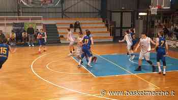 Il Basket Fermo passa di misura sul campo della Vigor Matelica - Serie D Regionale Fase Orologio Girone B - Basketmarche.it