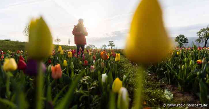 Frühlingswetter am Osterwochenende