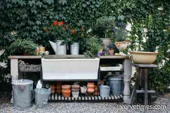 A Gardener Shares 5 Easy Tips - Verve Times