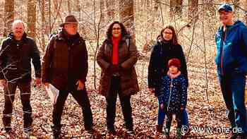 Spaziergang mit Waldführer durch den Halderner Forst - NRZ News