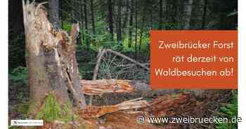 Forst rät derzeit von Waldbesuchen ab | Internetauftritt der Stadt Zweibrücken - Stadtverwaltung Zweibrücken