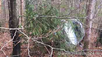 VW Polo kommt von Kreisstraße MÜ46 ab und landet in Wald – zwei Verletzte