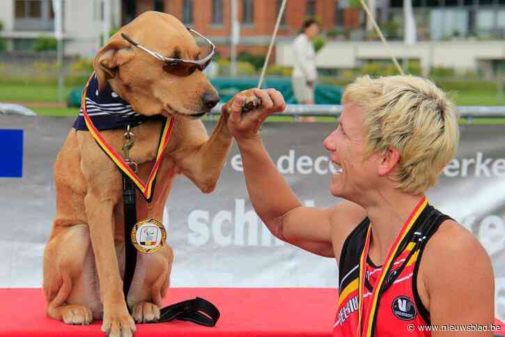 Assistentiehond van Marieke Vervoort overleden: “Zenn is nu voor altijd herenigd met Wielemie”