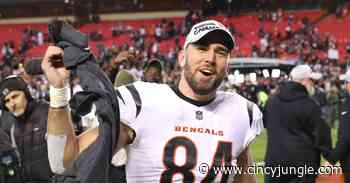 Bengals Roster News: Mitchell Wilcox gets new contract - Cincy Jungle