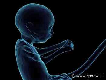 Studio da Pisa: la musica è efficace nel modulare l'attività del feto in gravidanza - gonews