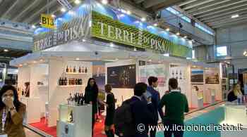 Il Vinitaly è tornato in presenza, con Terre di Pisa - IlCuoioInDiretta - IlCuoioInDiretta