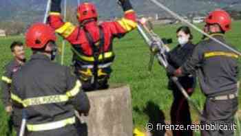 Pisa, uomo di 76 anni cade in un pozzo e muore - La Repubblica Firenze.it