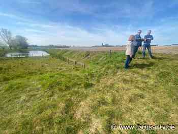 Overstromingsgebied moet Zedelgem beter beschermen tegen wateroverlast - Focus en WTV