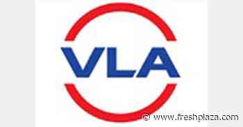 Vietnam presents plans to acquire US$1.5 billion-worth container shipping fleet - FreshPlaza.com