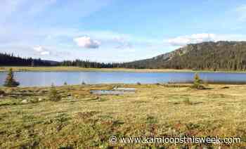 Dig It: The Indigenous history of Wells Gray Park - Kamloops This Week