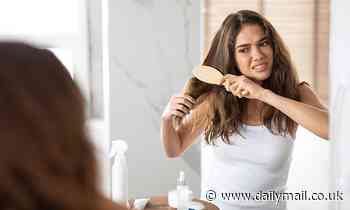 Mathematicians prove the best way to get tangles out of hair is to start brushing at the ENDS