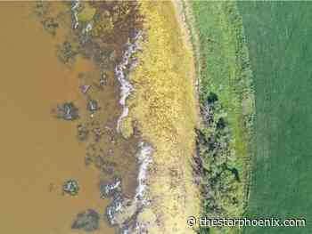 U of S research imagery competition winners show beauty in knowledge