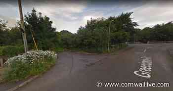 Former teachers get permission for horsebox selling bagels and blooms - Cornwall Live