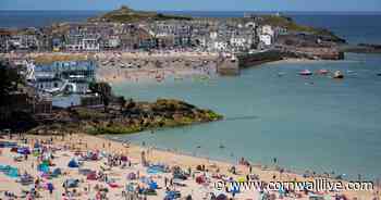 Should people in Cornwall stop using 'emmet' to describe tourists? - Cornwall Live