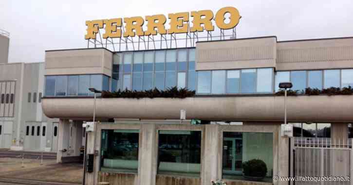 “Lavoro forzato nelle piantagioni in Malesia”: Ferrero blocca gli acquisti di olio di palma dalla Sime Darby Plantation