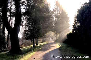 Slough restoration the aim of spring planting event in Chilliwack park – Chilliwack Progress - Chilliwack Progress