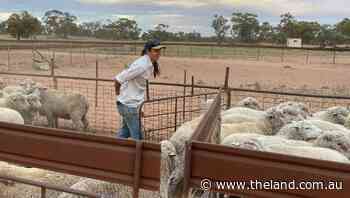 Kate McBride: Passionate advocate for the agriculture industry - The Land Newspaper