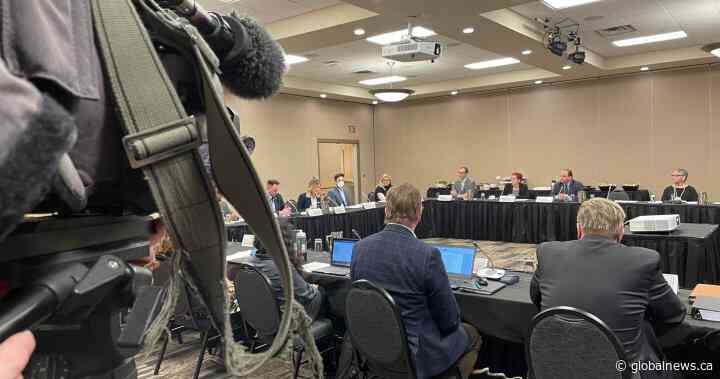 City of Saskatoon convenes downtown arena advisory committee - Global News