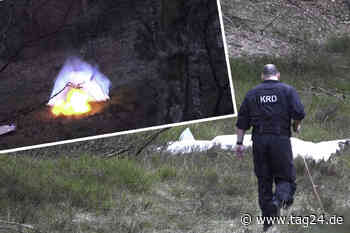 Hamburg: Mann mit Metallsonde entdeckt Weltkriegs-Granate in Fischbeker Heide! - TAG24