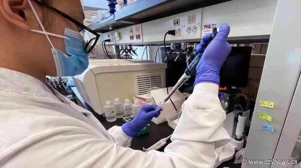 Wastewater now 'one of our only reliable tools' to detect COVID-19 prevalence