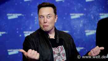 Twitter will Musks Übernahme-Versuch abwehren