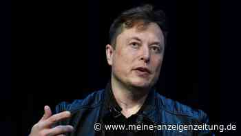 Twitter kontert Musks Übernahmeangriff mit Gegenmaßnahmen