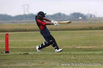Cricket association plans for breakout year - The Brandon Sun