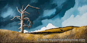 Kus-kus-sum watershed project moves to rebuild landscape - My Comox Valley Now