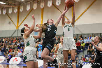 Comox basketball player named VIU rookie-of-the-year - Comox Valley Record