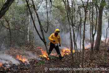 Combaten con todo, incendios forestales en Bacalar y Solidaridad - Quadratin Quintana Roo - Quadratín Quintana Roo