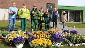 Varel: GPS-Mitarbeiter pflegen Hospiz-Garten - Nordwest-Zeitung