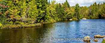 Subvention de Québec de près de 3 M$ à la Fondation de la faune