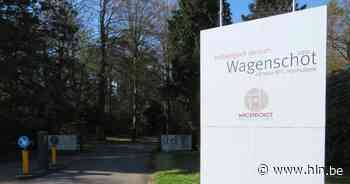 vzw Wagenschot nog 33 jaar thuis op provinciaal domein Heynsdaele - Het Laatste Nieuws