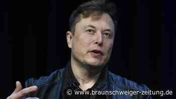 Warum Elon Musk Twitter nicht in die Hand bekommen darf