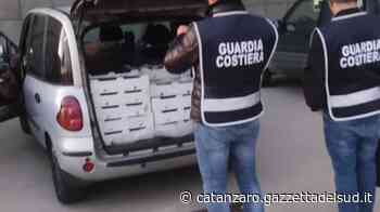 Crotone, la Guardia costiera sequestra altri 150 kg di novellame sarda - Gazzetta del Sud - Edizione Catanzaro, Crotone, Vibo