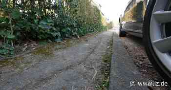 Laub und Unkraut müssen weg - Lippische Landes-Zeitung