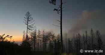 "Rauch" entpuppt sich in Detmold als dunkle Wolke - Lippische Landes-Zeitung