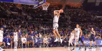 Honey Badgers sign former Notre Dame captain, Hamilton-native Nikola Djogo | inTheHammer - insauga.com