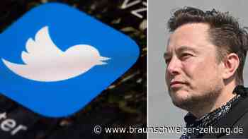 Twitter will sich gegen Kauf von Elon Musk wehren